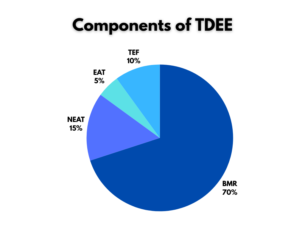 components of tdee,Calculate  TDEE